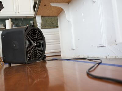 Professional mold removal services in Pahrump